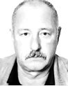 DAMIR VULIĆ