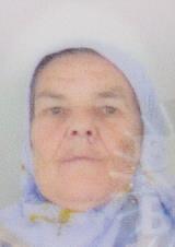 HANIJETA ZEBA
