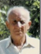 NIKO ALILOVIĆ