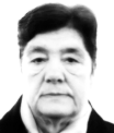 LINA BRHANOVIĆ