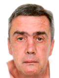 DARKO ROTH