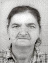 FARZILA ČEHIĆ