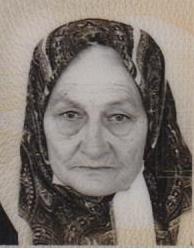 MEDIJA ŠEHOVIĆ