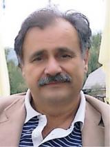 BORISLAV MILEŠIĆ
