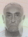 MILORAD DUBLJEVIĆ