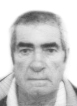 IVAN ZELENIKA