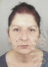DUŠANKA ZIROJEVIĆ