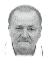 VLADIMIR PRIŠLIN