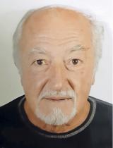 AZIZ HUBANIĆ
