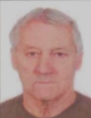 Slavko Martić (73)