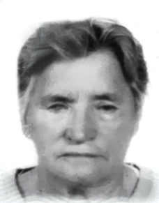 DRAGICA VENTEK