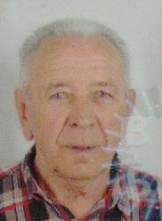 VAHID AVDIĆ (84)