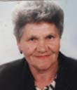 PLEMA ŠLJIVO (80)