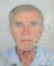 LJUBO VIDOŠEVIĆ