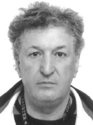 IVICA BRAJOVIĆ