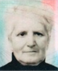 PAVKA ŠISTOV