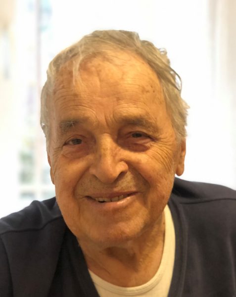 HAMED ŠETKIĆ (81)