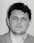 IBRAHIM ALAJBEGOVIĆ