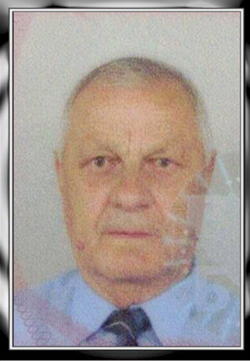 DOMIN PETROVIĆ