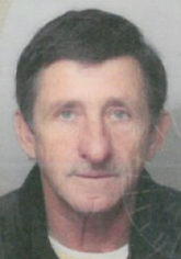 MILIVOJE LISOV