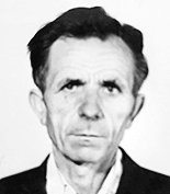 TOMA BODROŽIĆ - BRNIĆ