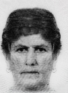 LUCA STIPIĆ
