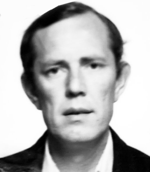 JOSIP MAGLICA