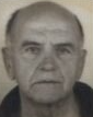 ZDRAVKO BUBALO - Boš
