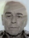 DIMITRIJE LAZAREVIĆ
