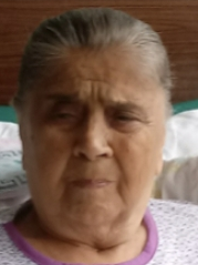 JELA SUŠIĆ