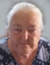 GOSPAVA BANIĆEVIĆ