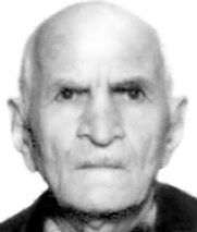 VID GLUVAK (90)