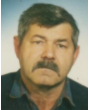 RADOMIR MITROVIĆ