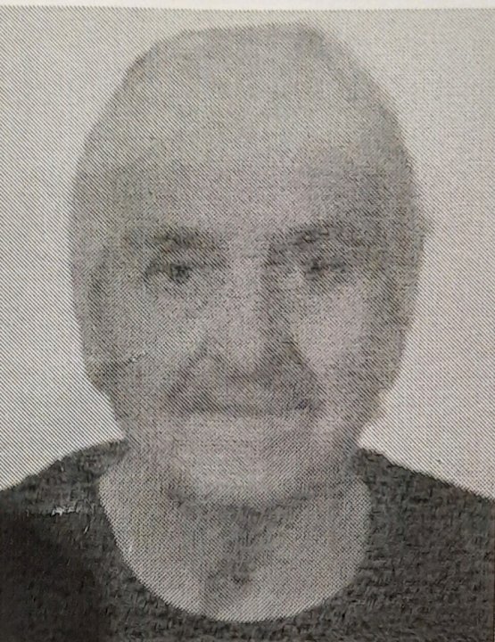 Luca Pavlović