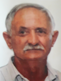 VOJIN BULATOVIĆ