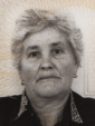 PLEMA OBRADOVIĆ (84)