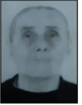 IVKA BARIŠIĆ