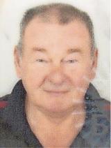Sergije Vujičić (71)