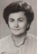 RUŽICA PERICA