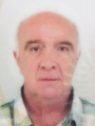 MUDŽEIM TOLJA (65)