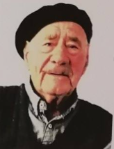 ASIM NUHBEGOVIĆ