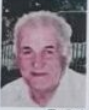 Josip Krajina