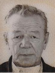 ADIL VITEŠKIĆ (84)