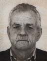IBRO PINTOL (85)