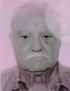 VOJISLAV MITROVIĆ