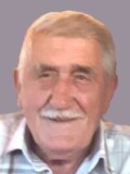VLATKO PETROVIĆ