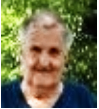 ANTE ŠUTO