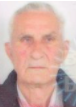 ARIF HODŽIĆ (84)