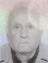 MILAN MEĐEDOVIĆ