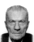 Milan Ilić